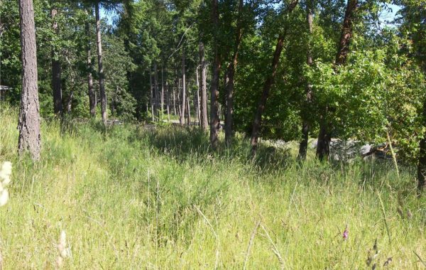 $229,000   MLS# 378708