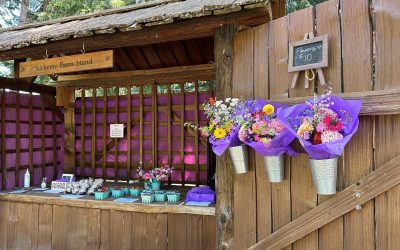 Things to Do on Salt Spring Island