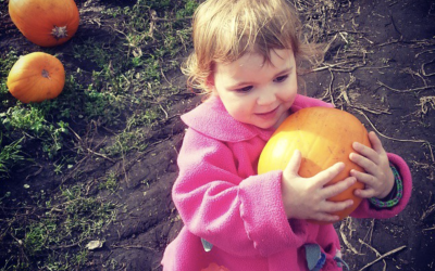 Salt Spring for Families: Schools, Nature, and Island Life with Kids